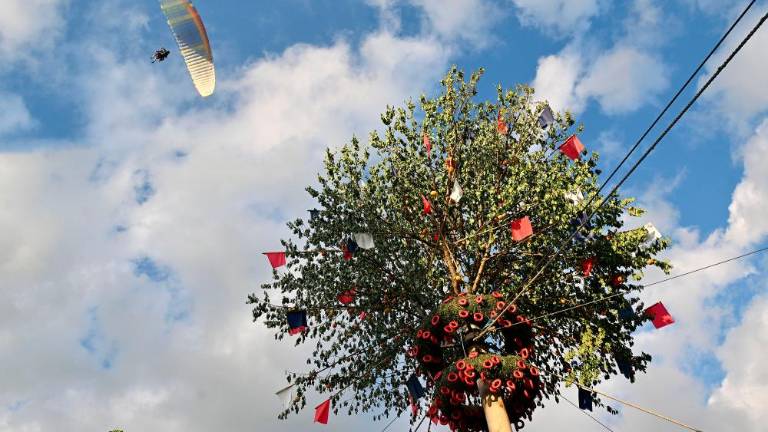 Majenca parterjev in parterc