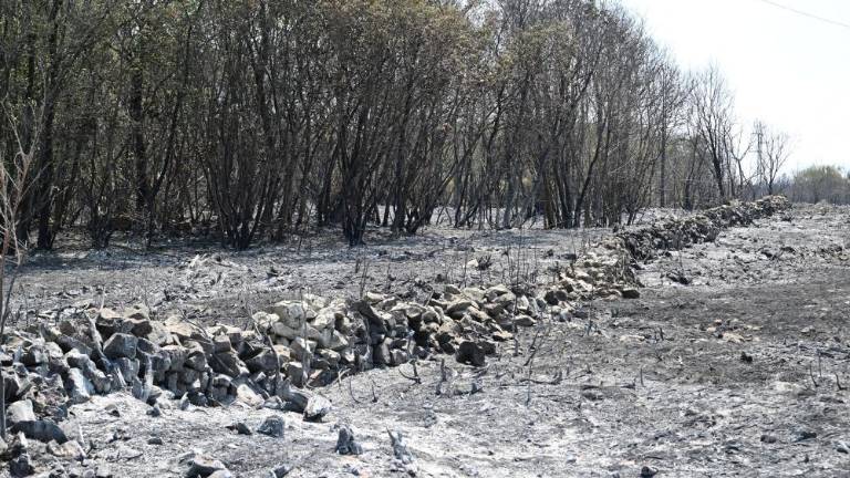 Velika požarna ogroženost le še v Ajdovščini