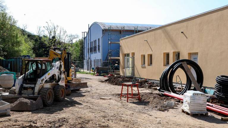 Odločno zahtevajo slovenske otroške jasli