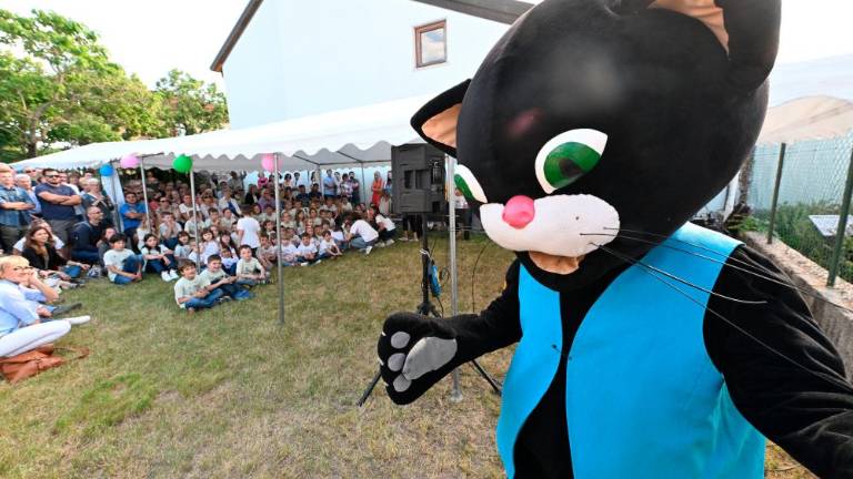 Maček Muri na obisku v Bazovici