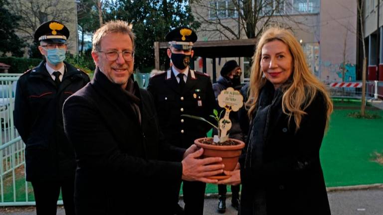 Falconejevo drevo bo raslo, kjer je odraščal Eddie Cosina