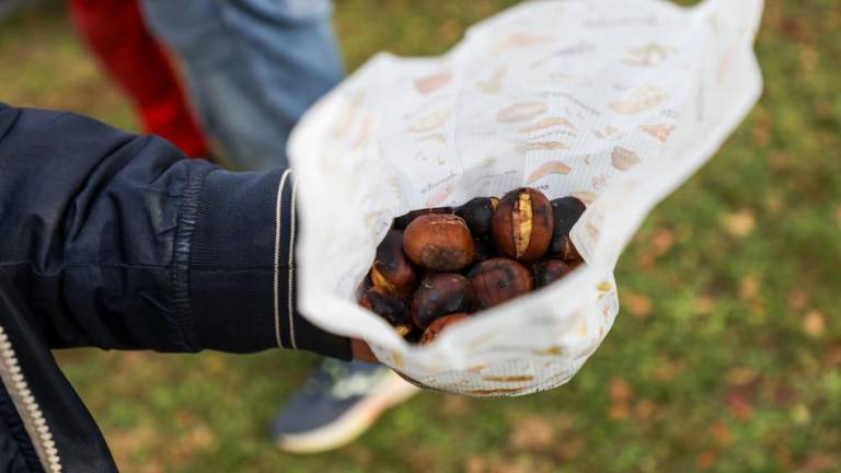 Pred kostanjem na Kremenjak