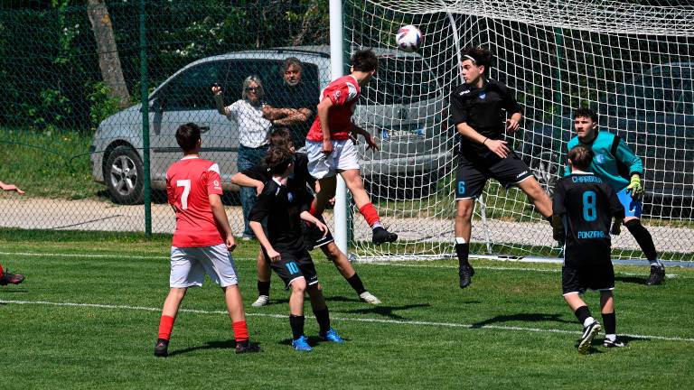 Združena nogometna ekipa Vesna Zarja pokrajinski prvak U16