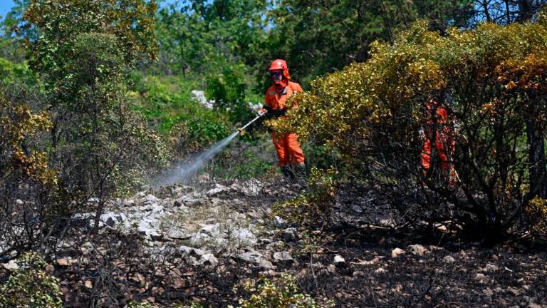 Požar pri Štivanu na cesti skozi Dol pogasili (VIDEO)