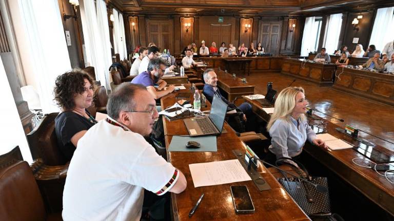 Neomajna obstrukcija proti privatizaciji rojanskih jasli