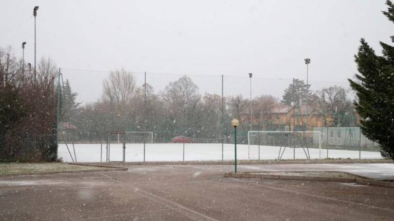 Video: sneg na Krasu