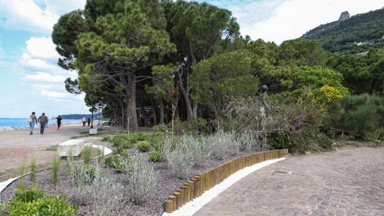 Zaradi spolnega nasilja aretirali voznika tovornjaka