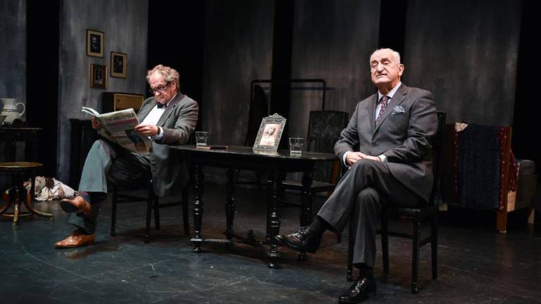 Bernhardov Videz vara