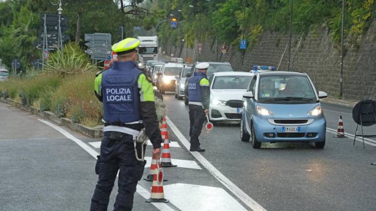 V avtomobilu prevažal buzdovan