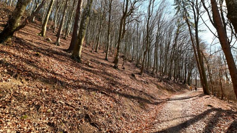 Od kod prihajajo Baba, Ajdi in Lintver