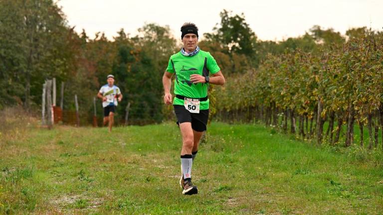 Kar 120 tekačev na 5. Teku med vinogradi