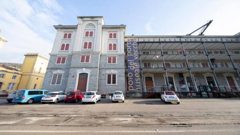 V Skladišče 26 nameravajo preseliti tudi zbirko Naravoslovnega muzeja