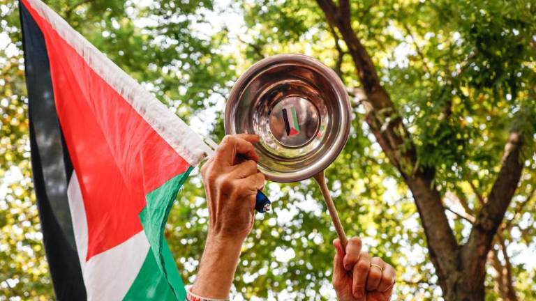 V sredo zborovanje za Gazo v Miljah