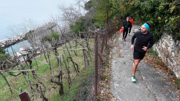 Virtualni vzpon na Triglav po Ribiški poti