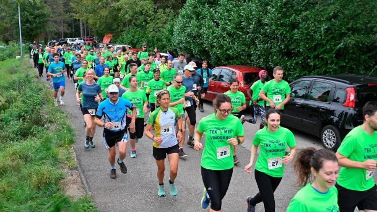 Kar 120 tekačev na 5. Teku med vinogradi