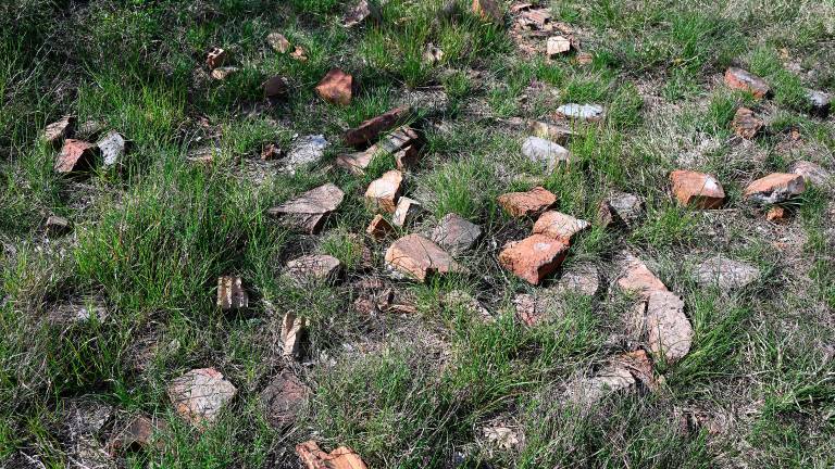 Čiščenje kraške gmajne pri Štivanu