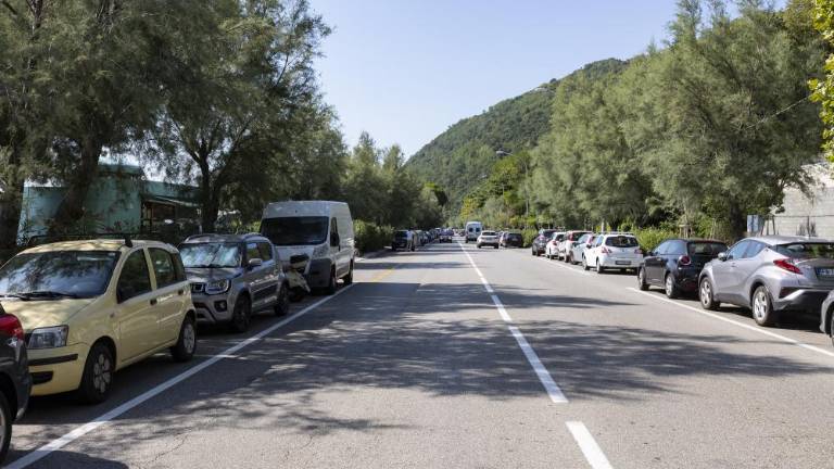 Na barkovljanski rivieri bi bilo treba zarisati nove zebre na cestišču