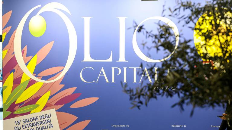 V Trstu poteka 18. izvedba sejma Olio Capitale