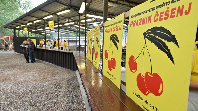 Še danes v Mačkoljah v znamenju češenj