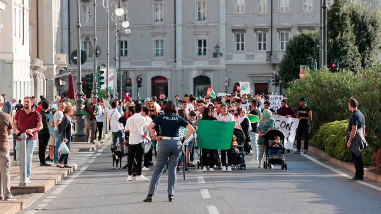Tržaški Afganistanci za mir