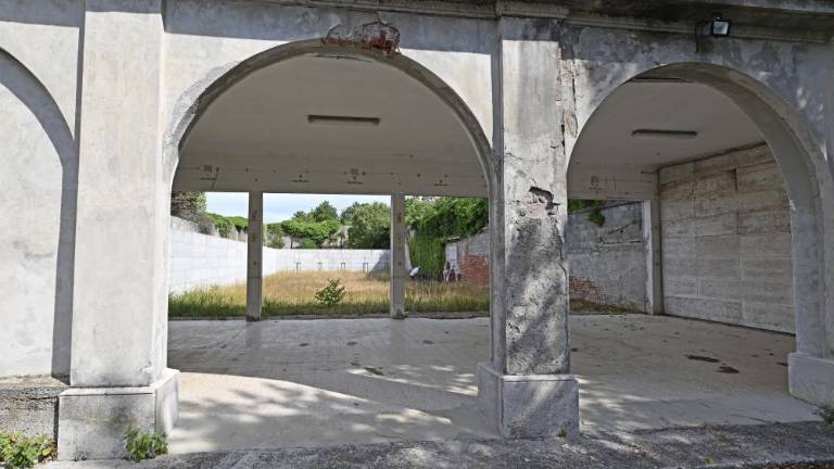 Cuperlo in Rojc: Pri Parku miru naj sodeluje vlada