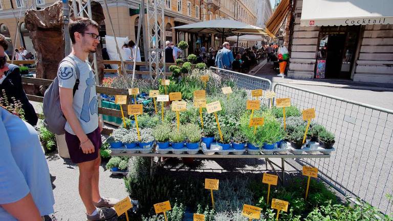 Vrnil se je sejem Trieste in Fiore