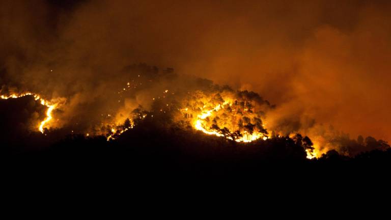 Požar opusto&scaron;il pobočje Matajurja