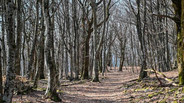 Od kod prihajajo Baba, Ajdi in Lintver