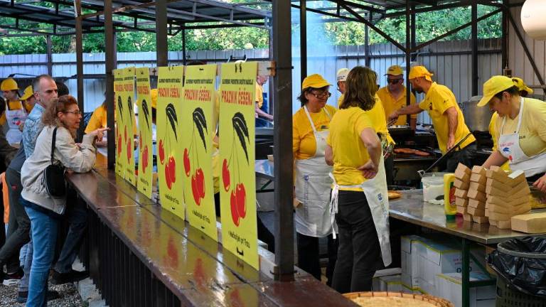 61. Praznik češenj v Mačkoljah