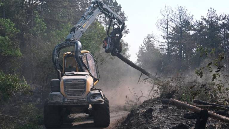 S pogorišča odstranili okrog 2000 kubičnih metrov lesa