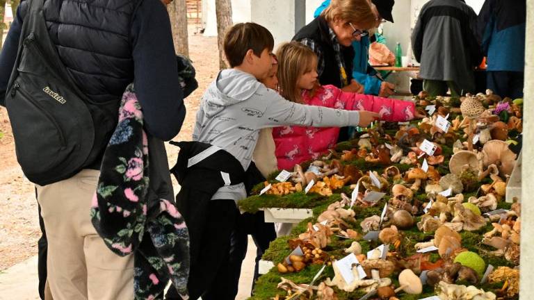 V Praprotu Kraški Oktoberfešt v polnem teku
