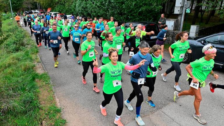 Kar 120 tekačev na 5. Teku med vinogradi