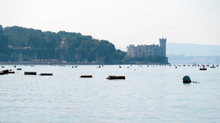 Na morju z gojitelji klapavic