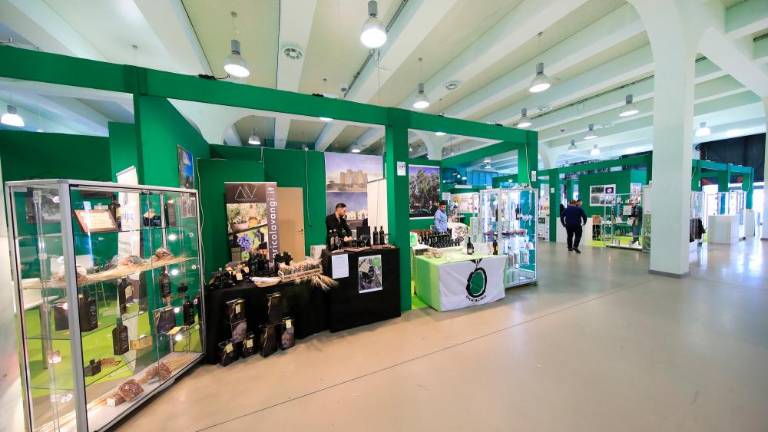 Trst se bo spremenil v prestolnico oljčnega olja