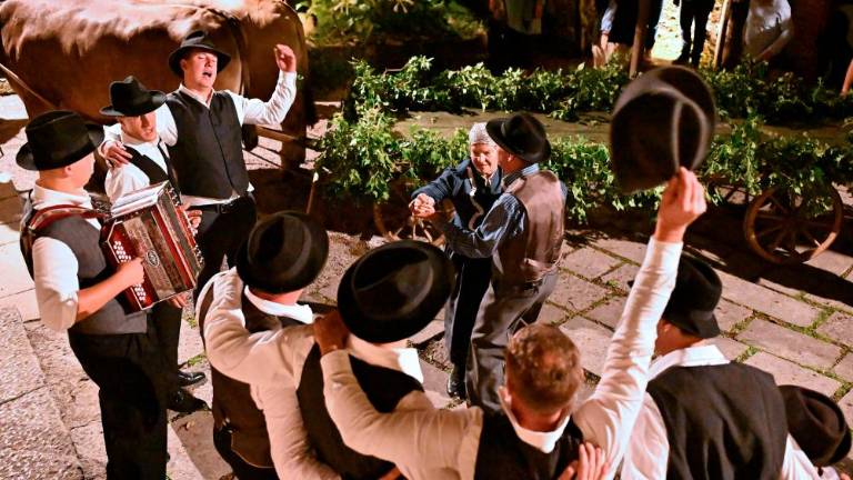 Balo sta s Cola v Repen prepeljala vola