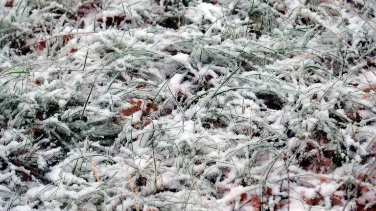 Aprilski sneg pobelil Kraško planoto (foto in video)