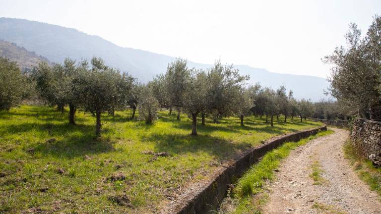 Belica odslej na seznamu Slow Food