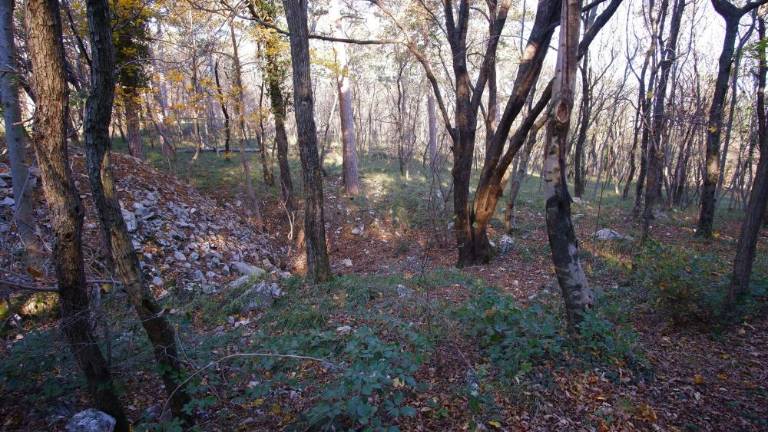 Moški si je pretrgal mišico in ni mogel nadaljevati