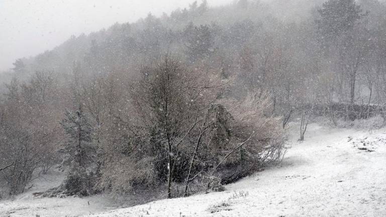 Aprilski sneg pobelil Kraško planoto (foto in video)