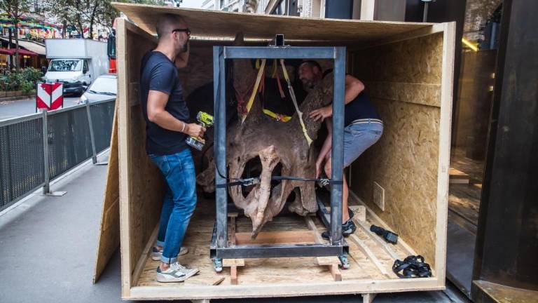 Big John je prispel v Pariz