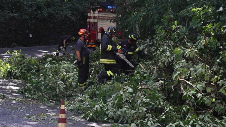 Veter lomil drevesa in premetaval plovila