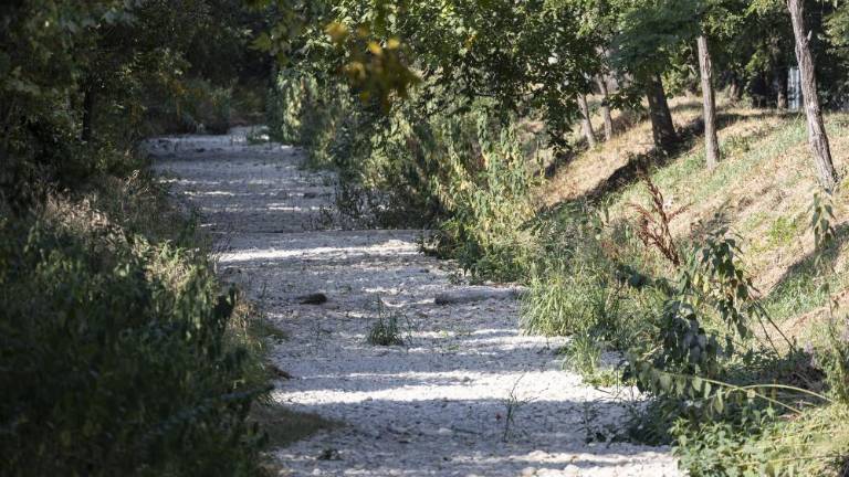 V slovenski Istri je treba naprej varčevati z vodo