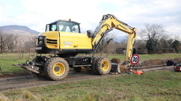 Stare murve si zaslužijo zaščito