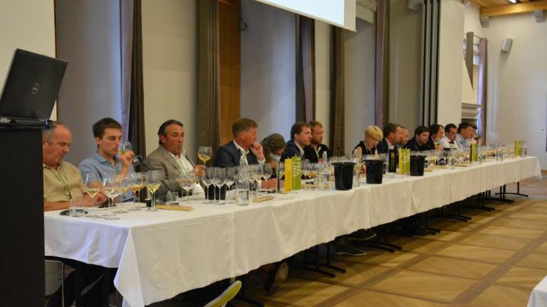 Ne čakajo na državi, povezujejo se sami