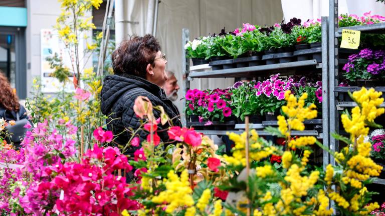 Sejem cvetja uvod v tržaško turistično sezono