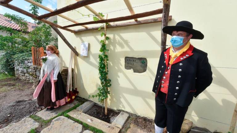 Ob 70-letnici Kmečke zveze trta prijateljstva in nova etiketa prosekarja