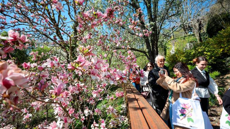 V vrtu Viatori v Gorici vrhunec cvetenja (foto)