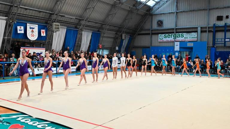 Borova božična akademija