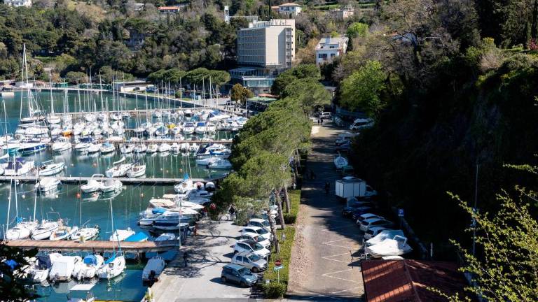 »Projekt o prenovi Grljana je predvideval ohranitev vseh dreves«