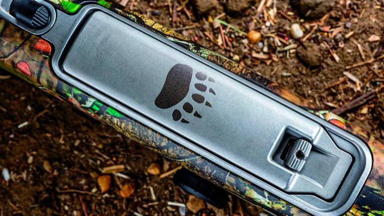 V Sloveniji zelena luč za odstrel 230 rjavih medvedov